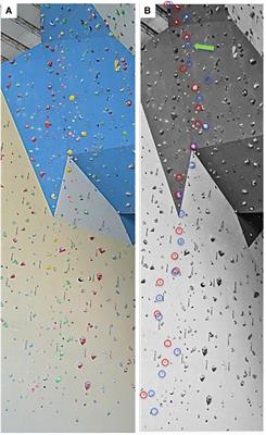 On-Sight and Red-Point Climbing: Changes in Performance and Route-Finding Ability in Male Advanced Climbers